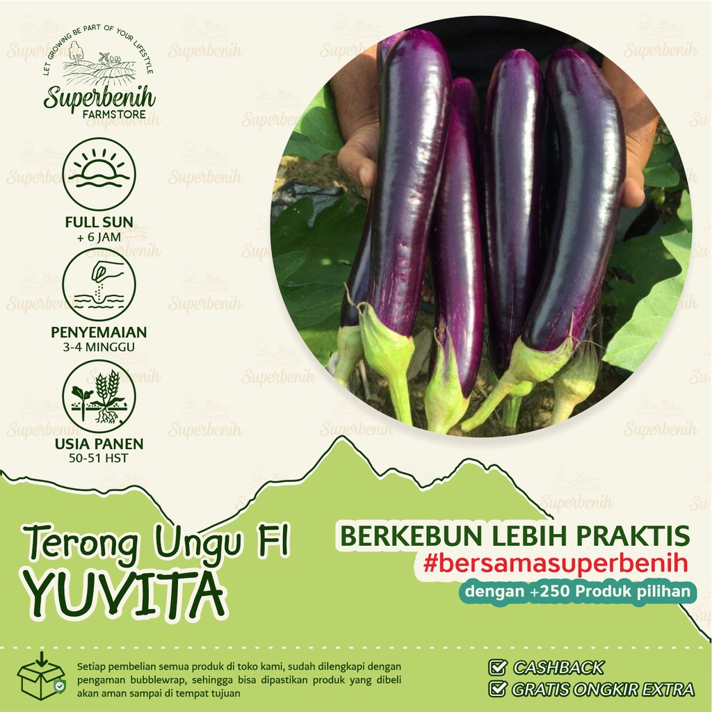 25 Biji - Benih Terong Ungu YUVITA F1