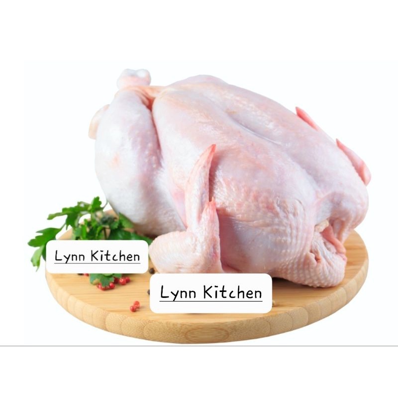 

Ayam broiler utuh frozen