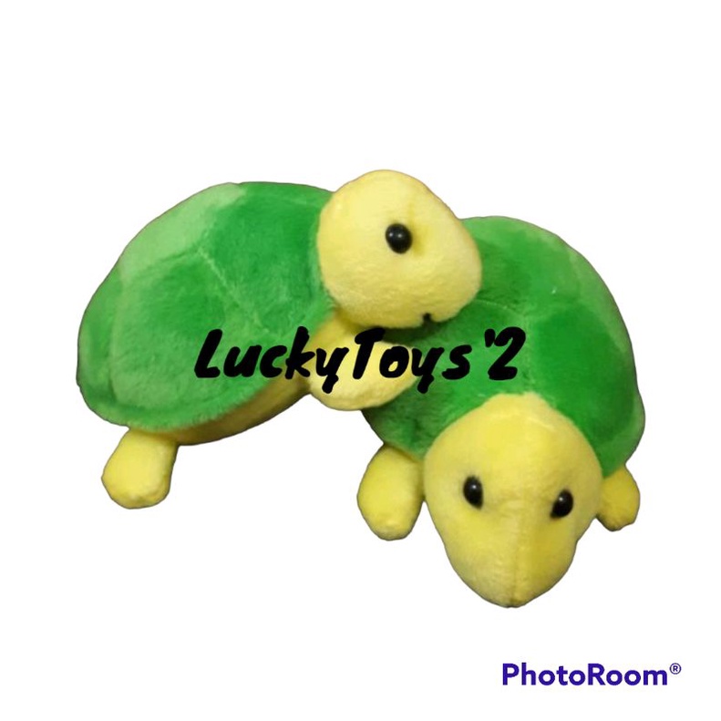 Boneka Kura-Kura kecil Murah