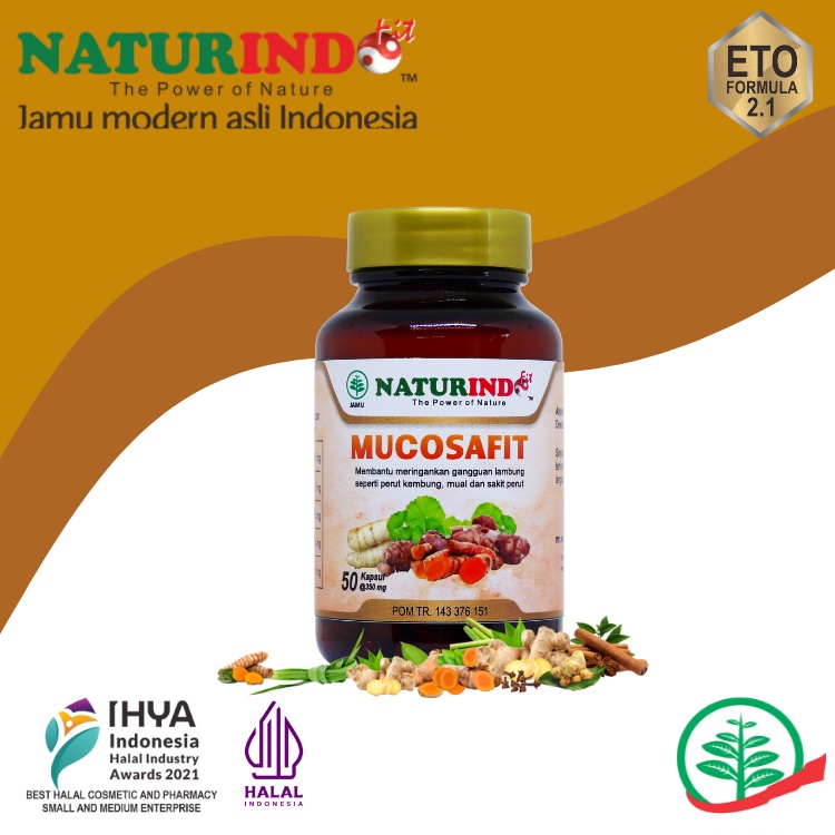 Naturindo Mucosafit Obat Bau Mulut Asam Lambung Kronis Mucosafit Naturindo Nafsu Makan Anak Dewasa M