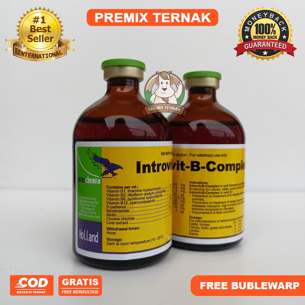 INTROVIT B COMPLEX 100ml Original -  (KONSENTRASI TINGGI DAN BIOTIN)