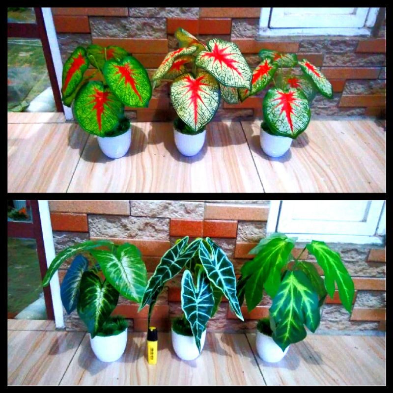 Daun keladi alocasia syngonium bunga hias artificial imitasi palsu plastik
