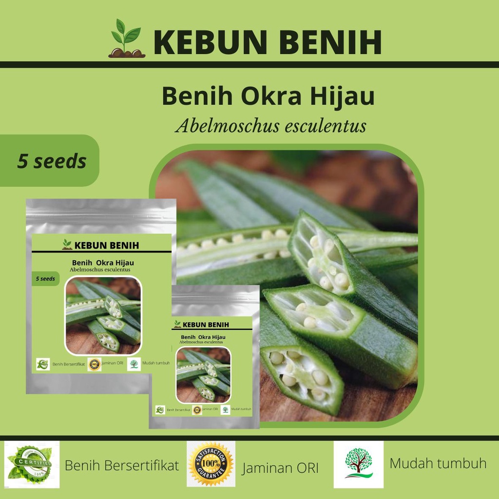 5 Benih Tanaman Okra Hijau Kualitas Unggul