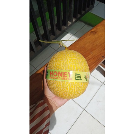 

Honey Emerald Melon Sunpride