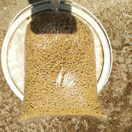 Pur babi Penggemuk Ayam ( 500 gram ) Pakan Layer Ayam Itik Bangkok Bebek Cepat Besar