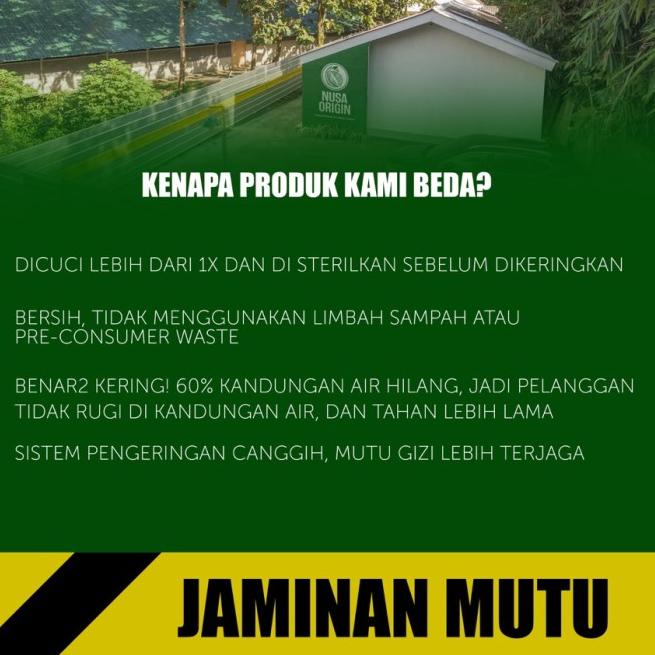 Maggot Nusantara Koi 500 Gr