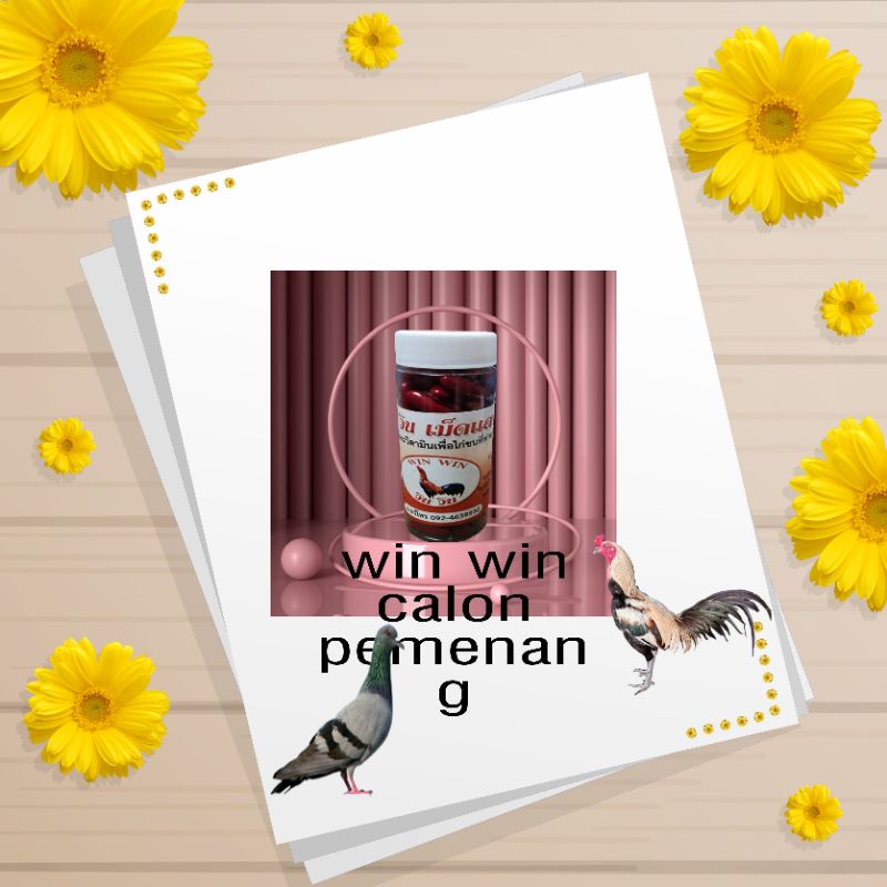 win win the best pill kamlang vitamin ayam tarung obat penguat tenaga fisik stamina