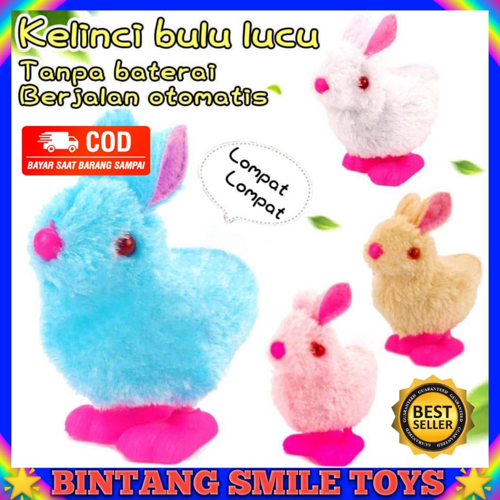 MAINAN ANAK BONEKA KELINCI BERJALAN PUTAR GUNCI PUTAR / MAINAN LUCU KELINCI LOMPAT BERBULU HALUS PRO