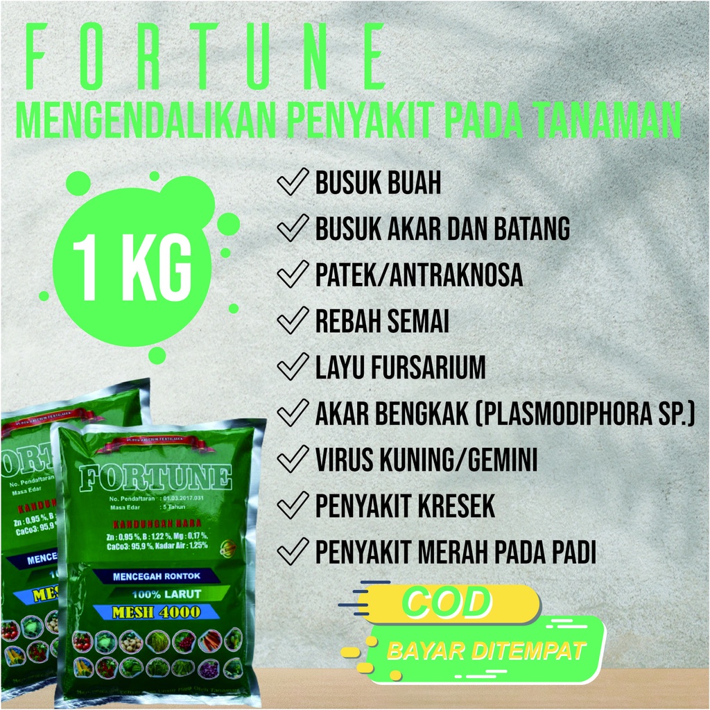 (SIAP KIRIM KETEMPAT) FORTUNE Pupuk Kalsium Anti Hama Virus Kuning/Gemini Kacang Panjang, Pupuk Orga
