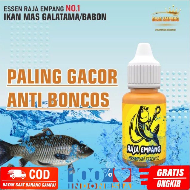Essen ikan mas paling bagus Essen ikan mas paling ampuh Essen ikan mas babon Essen ikan mas paling m