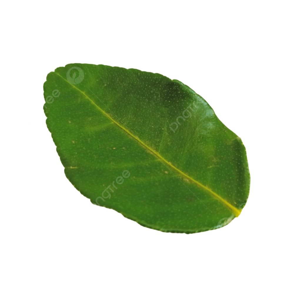 

DAUN JERUK 50gr ORIGINAL