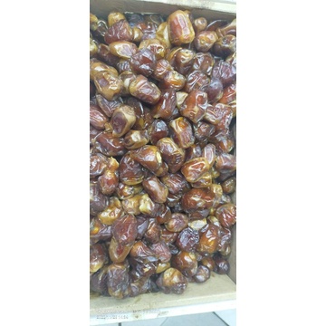 

kurma sukari