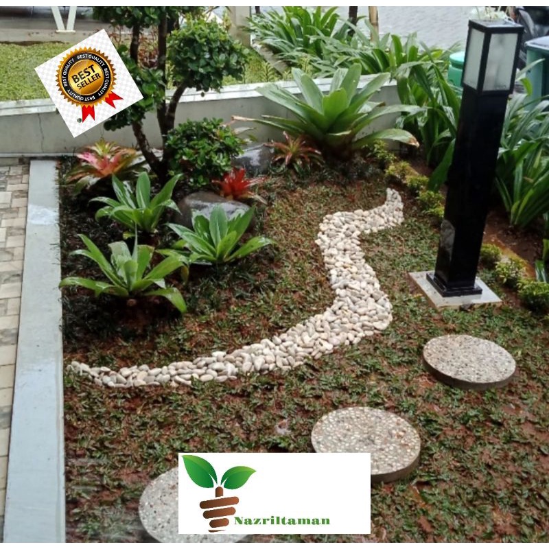 Taman Minimalis Depok - Jasa Taman Depok