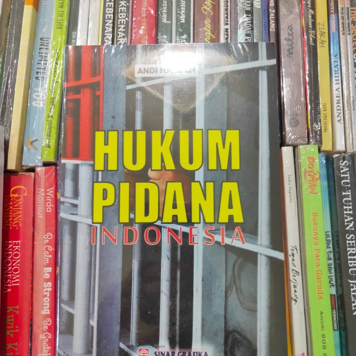 Buku Pidana Hukum Pidana Indonesia Andi Hamzah