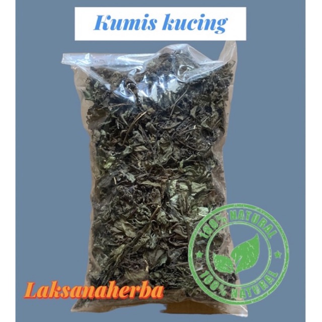 

daun kumis kucing kering kering