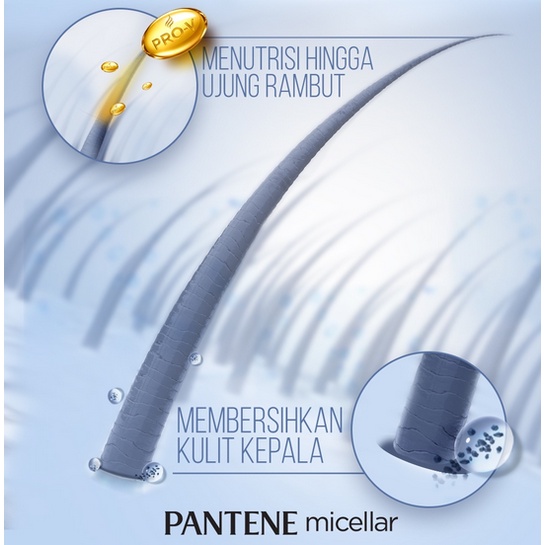 Pantene Micellar Detox &amp; Moisturizer Shampoo &amp; Conditioner (HIJAU)