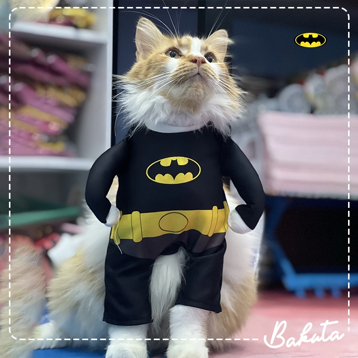 Kostum Superhero untuk kucing dan anjing Lucu Batman Vs Superman / Kostum kucing Murah / Baju Kucing Tangerang size S-XL