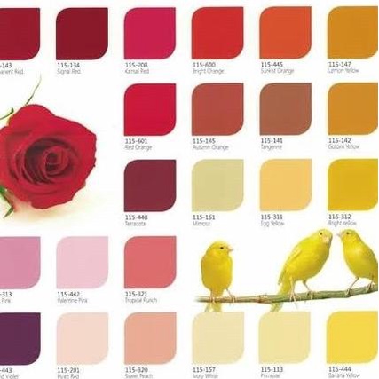 Ftalit / Cat Besi / Cat Minyak / Cat Kayu 1KG FTALIT PUTIH - HITAM - SUPER WHITE 731