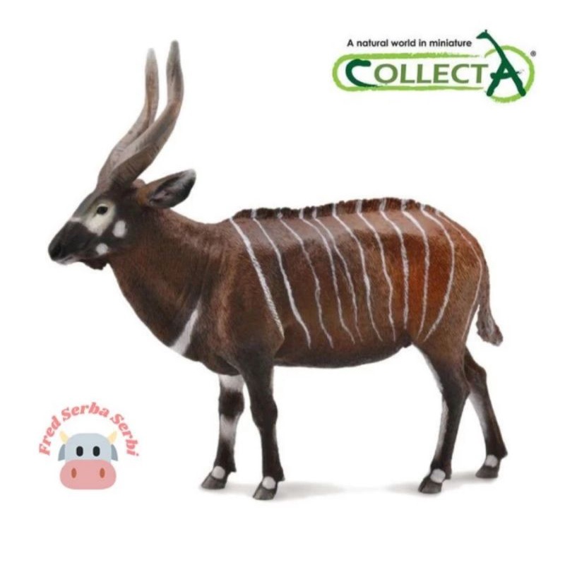 Collecta - Antelop Bongo