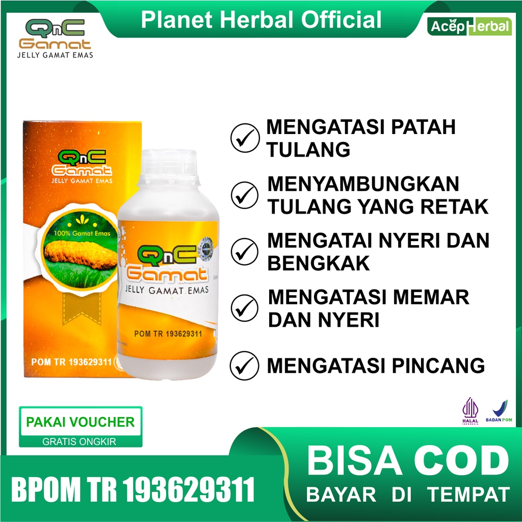 Obat Patah Tulang Retak Penyambung  Tulang QnC Gamat Jelly Gamat Emas 300 ml