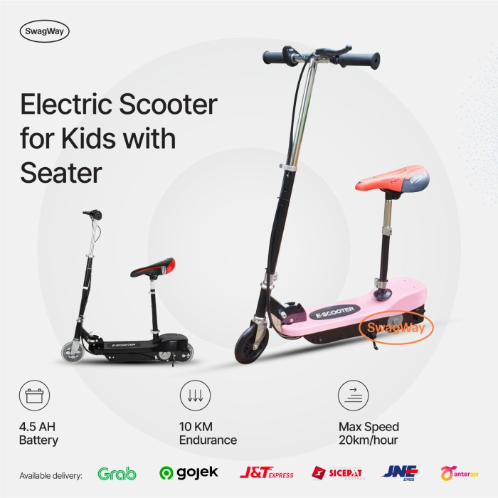 Mini Skuter Elektrik Electric Scooter Mainan Anak Segway Hoverboard