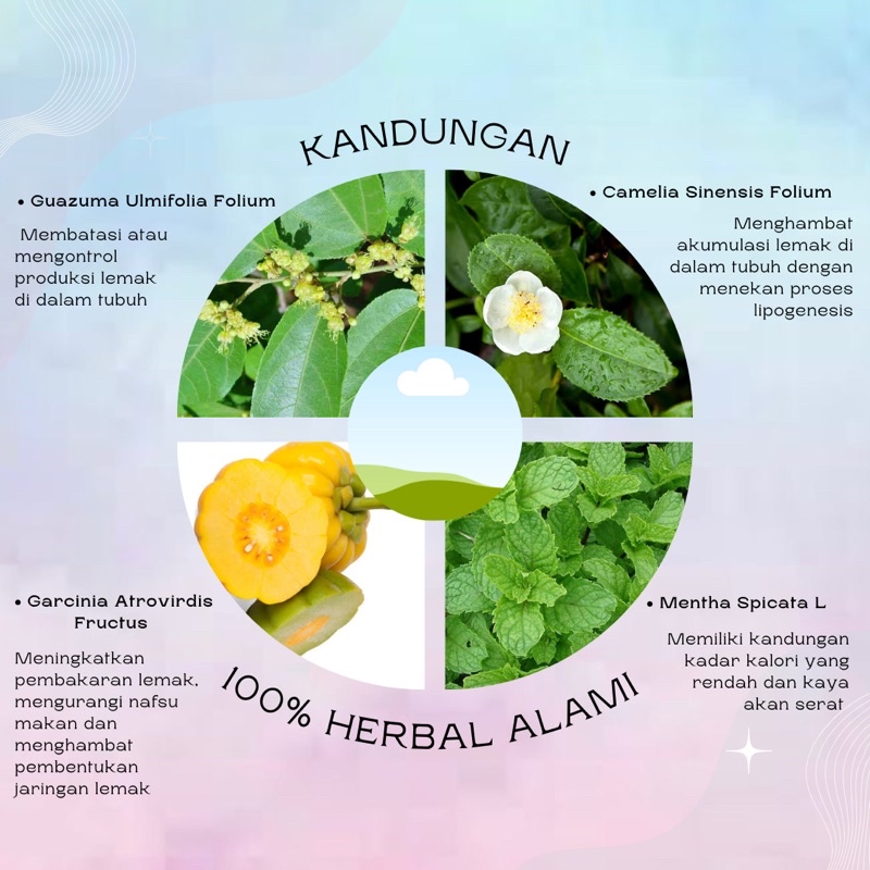 TBS DETOX Kapsul Pelangsing Badan Obat Diet Ampuh Isi 30 Kapsul