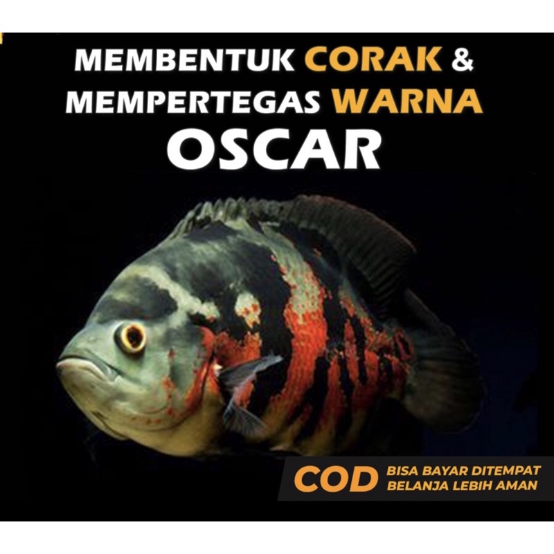 PELET OSCAR PAKAN IKAN PREDATOR