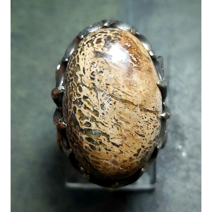 Batu Upas Wisa Cirebon