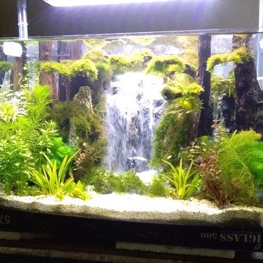 TEBING AIR TERJUN / MINIATUR AIR TERJUN AQUASCAPE / AQUARIUM UK. L