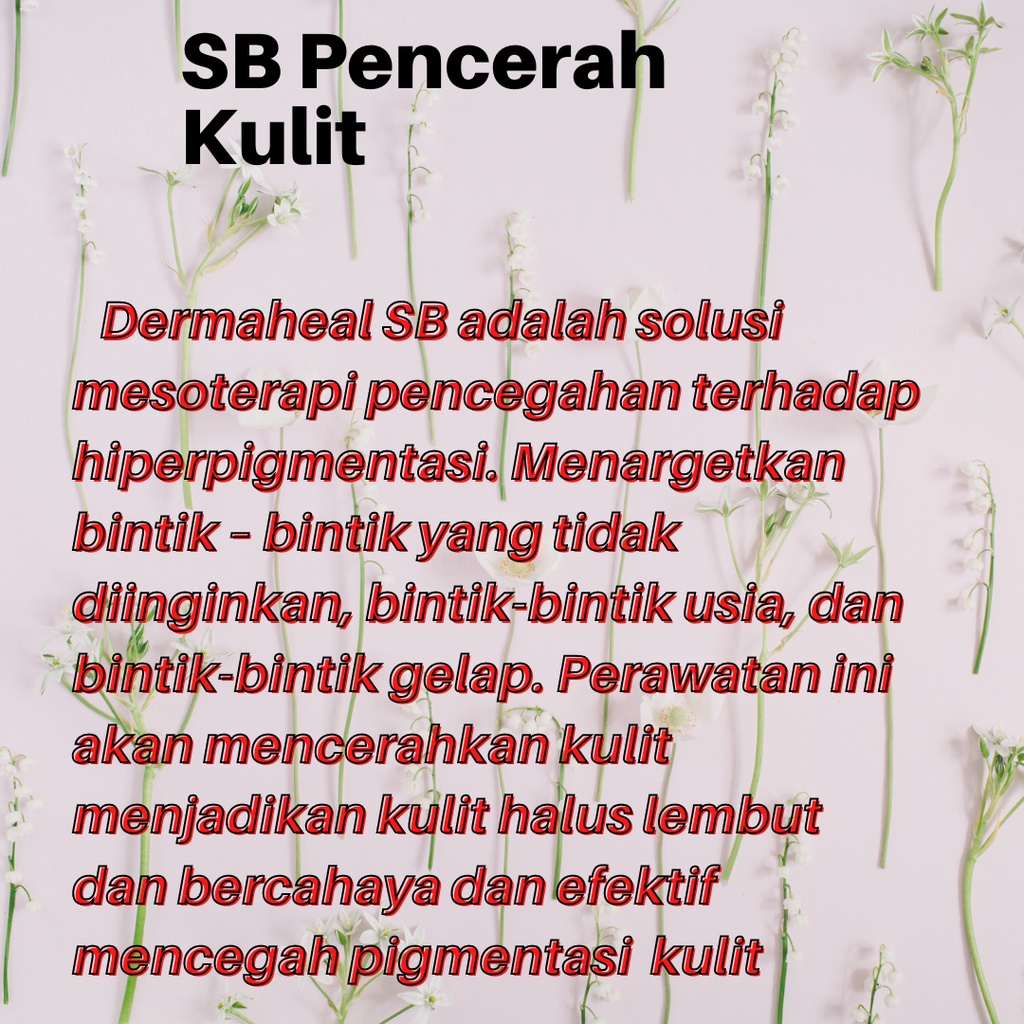 Dermaheal Serum Mesoterapi Skinbooster 1 botol 5ml Dermaheal SR/ SB/ HSR/ HL/ LL Serum Hyaluronic Essence Perawatan Wajah Ecer