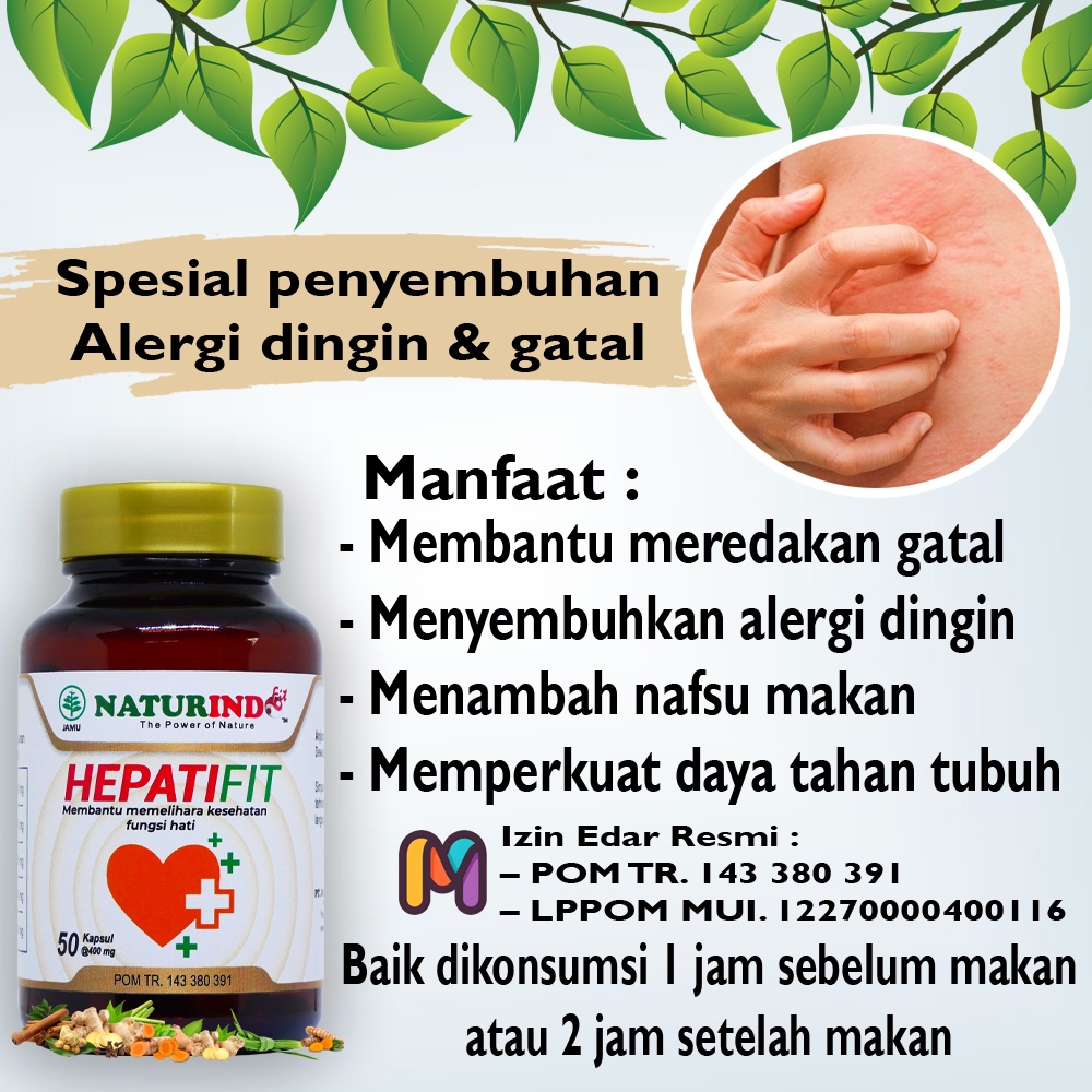 Jual Obat Biduran Alergi Original Alergi Dingin Ampuh Naturindo