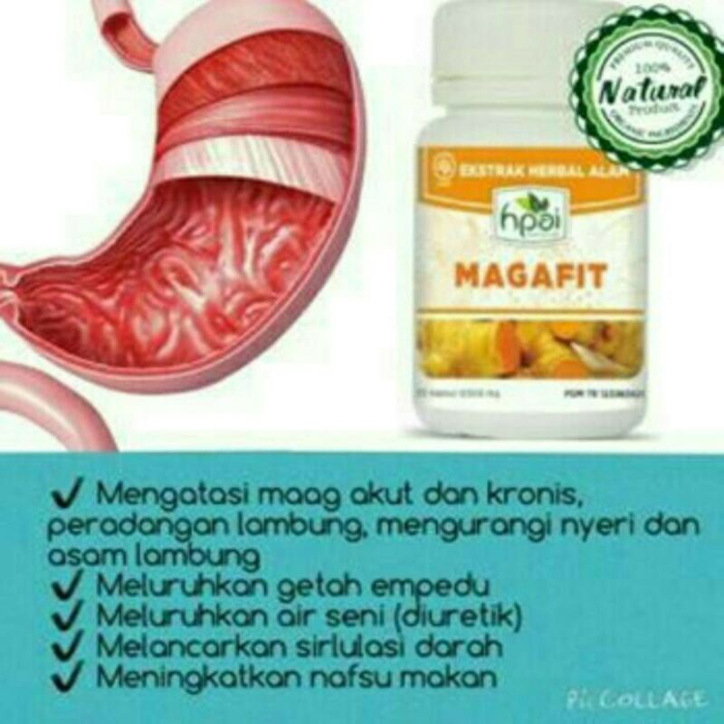 Magafit suplemen pencernaan HNI, Obat Asam Lambunh, obat sakut maag alami herbal
