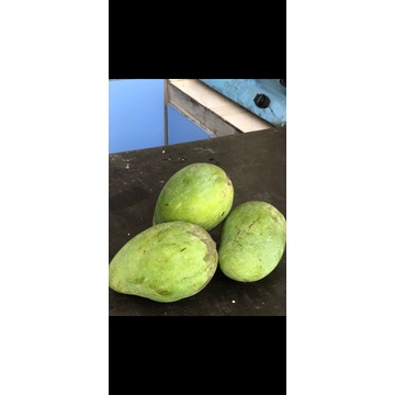 

mangga