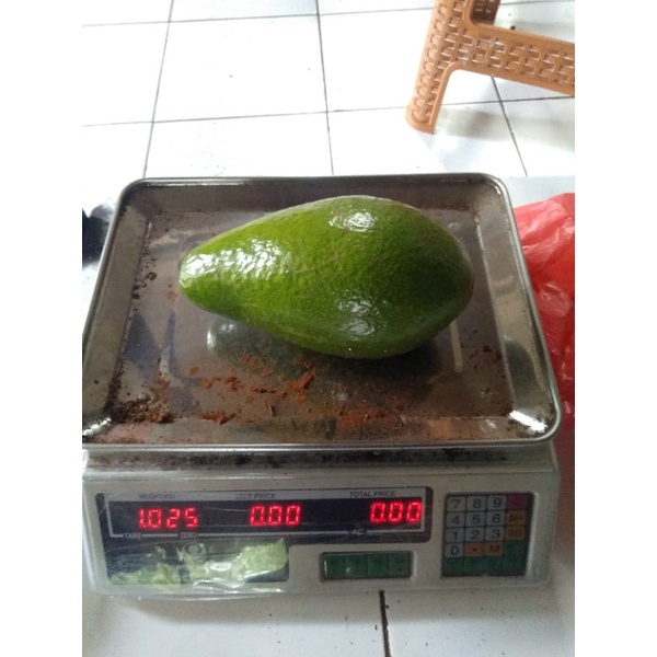 Entres Alpukat Pluwang / Pangeran / Greenstar Valid