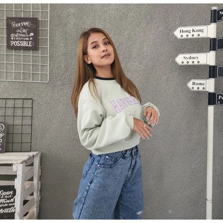 Sweater Wanita HARVARD BORDIER Croope Pakaian Blouse Terbaru Desain Simple Elegan Kasual Fashion