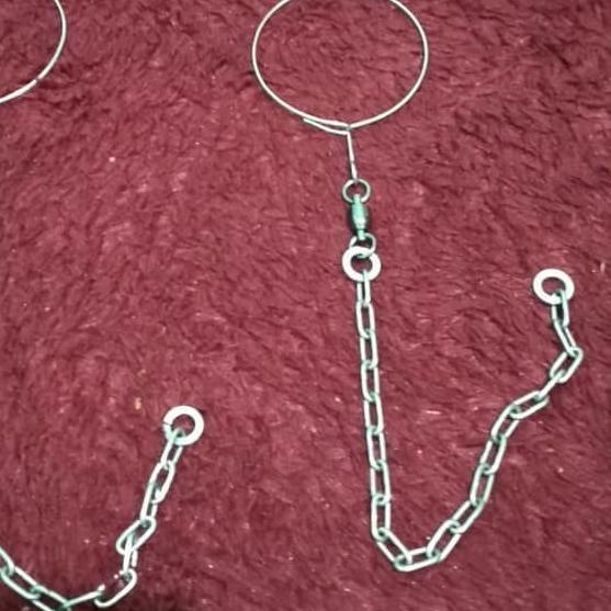 RANTAI AFGREY / MACAW / KAKATUA