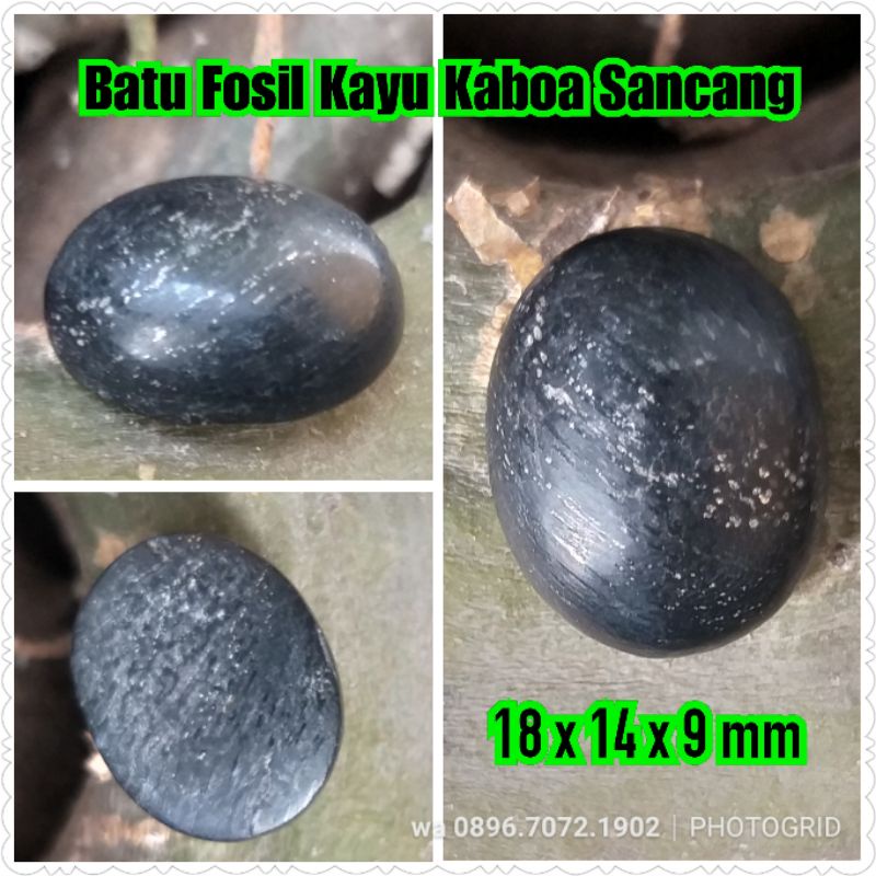 batu fosil kayu kaboa sancang asli kode 5 no bacan kalimaya pirus persia rubi zamrut giok batu bulu 