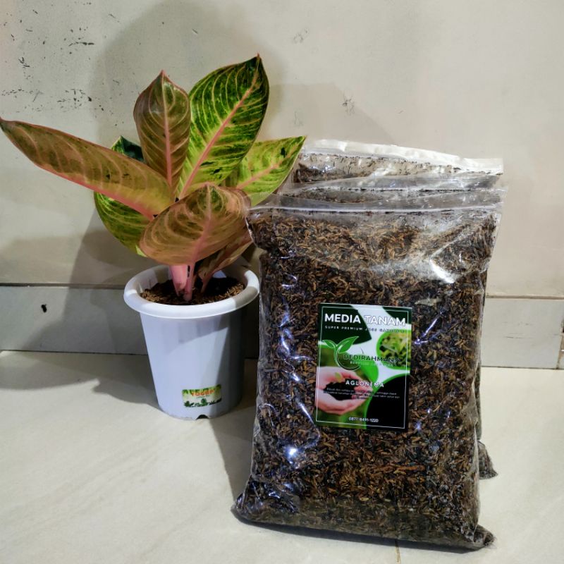 MEDIA TANAM aglonema super premium JOSS GANDOS 1kg
