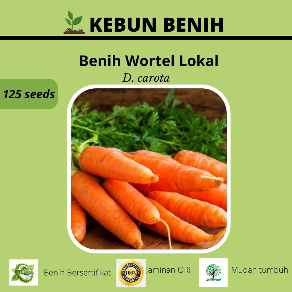 125 Benih Tanaman Sayur Wortel Lokal Kualitas Unggul