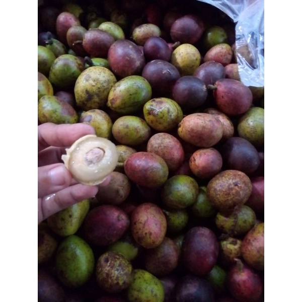 Matoa buah 3 rasa (rambutan, kelengkeng, durian)