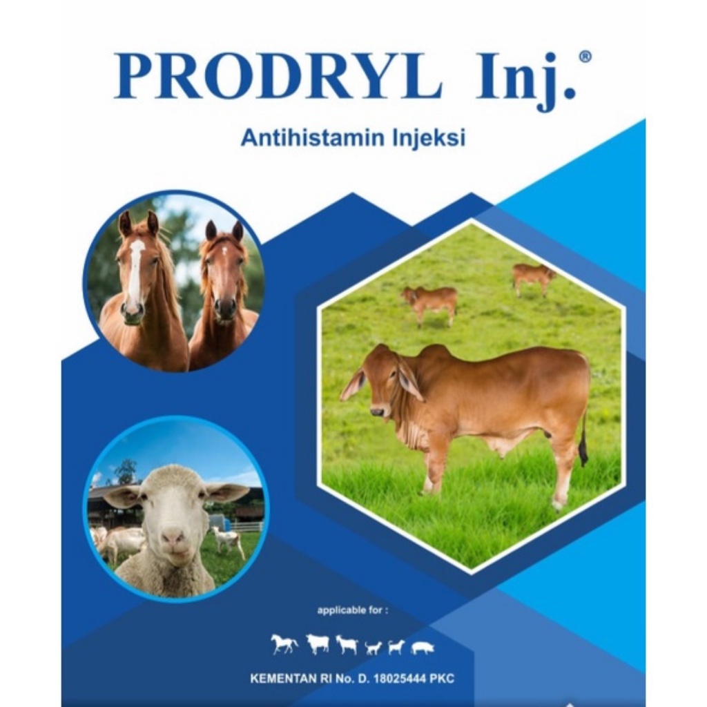 PRODRYL Injeksi 50 mL | Antihistamin Anti Alergi (Mirip Vetadryl Sanbe) | Untuk Sapi Kambing Kuda Anjing Kucing | VADCO | Apoternak