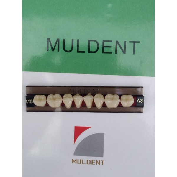 GIGI PALSU / GIGI MULDENT GERAHAM BAWAH / PER BARIS ISI 8 PCS / UKURAN M33L : A3