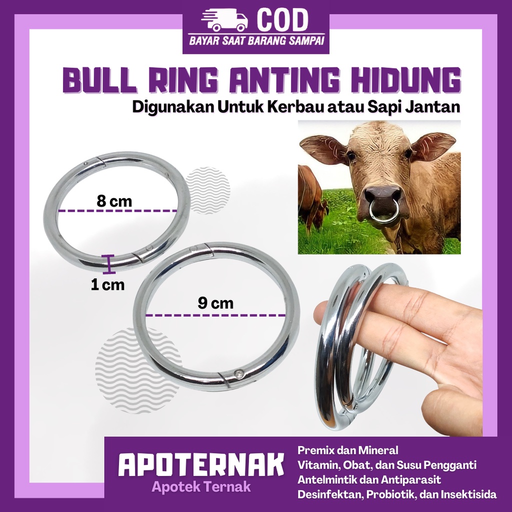 BULL RING | Cincin/Anting Tindik Hidung Sapi Kerbau | Diameter 8 dan 9 cm | Apoternak
