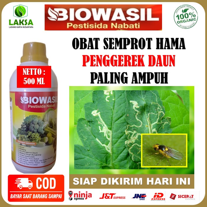 BIOWASIL 500 ML PESTISIDA NABATI Obat Semprot Hama Penggerek Daun - Obat Biowasil Pestisida Nabati O