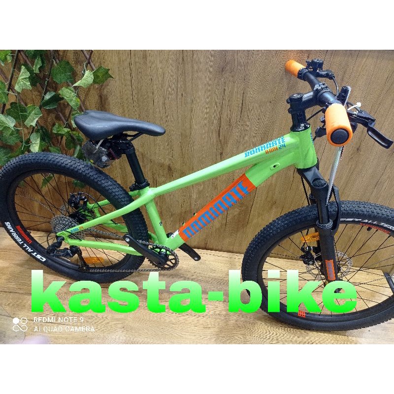 Sepeda DOMINATE A-ONE 24ich