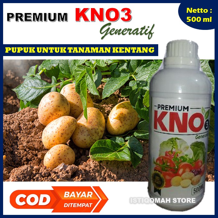 PROMO COD PREMIUM KNO3 500ML Pupuk Obat Pencegah Busuk Umbi Kentang - Pupuk untuk Mempercepat Pertumbuhan Buah Umbi Kentang Besar - Pupuk Penyubur Tanaman Kentang yang Bagus Terbaik Ampuh Terlaris Bisa Bayar di Rumah