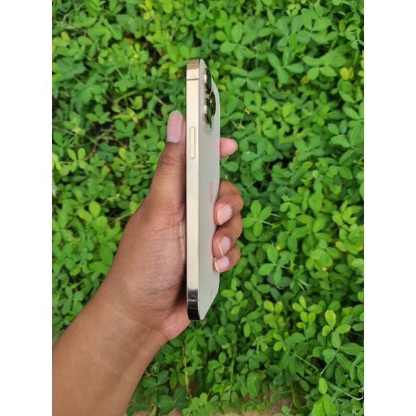 13 pro max 256 ex ibox like new garansi aktif