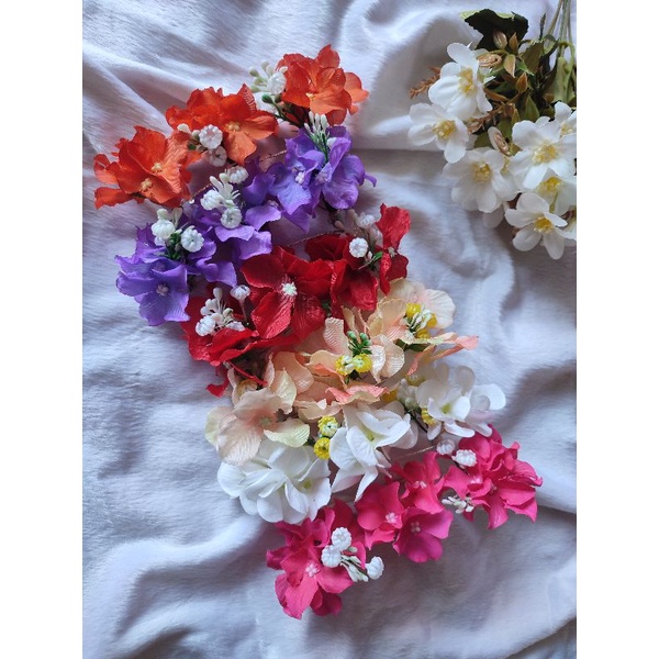 Semanggi Bunga/ Semanggi Bali/ Semanggi Grosir