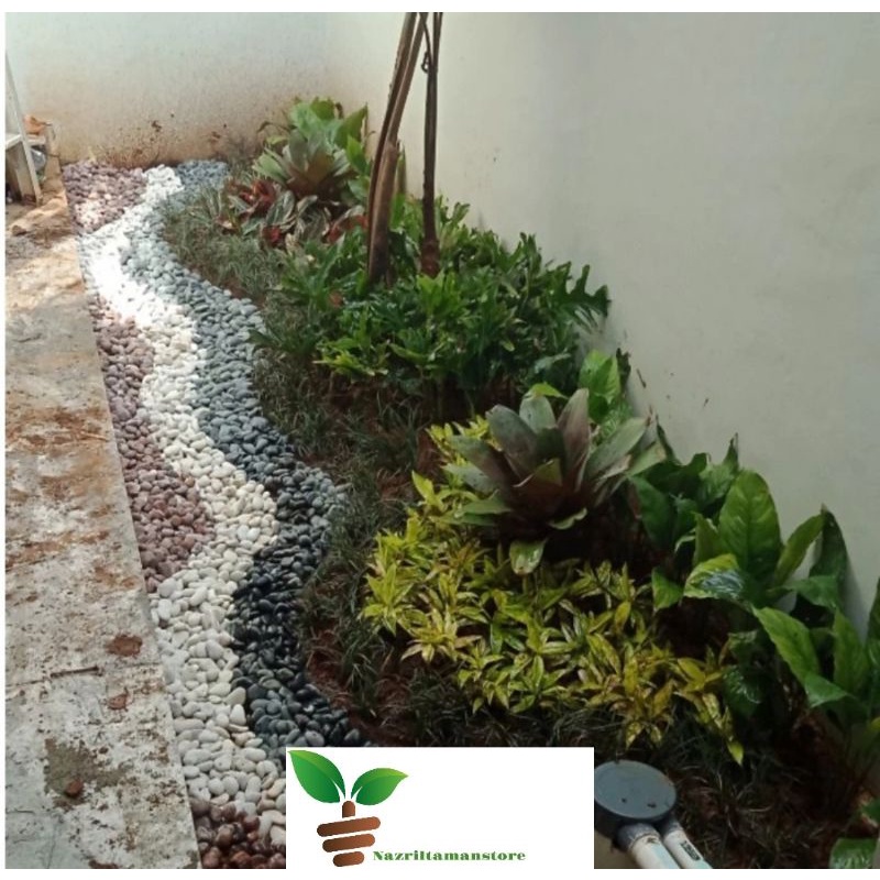 Paket Taman Minimalis Depok - Jasa Taman Depok