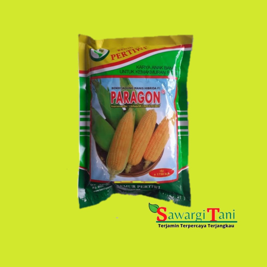 Benih JAGUNG MANIS PARAGON isi +/-1750 biji/Paragon 250g -+1750/Benih jagung manis unggul/bibit jagu
